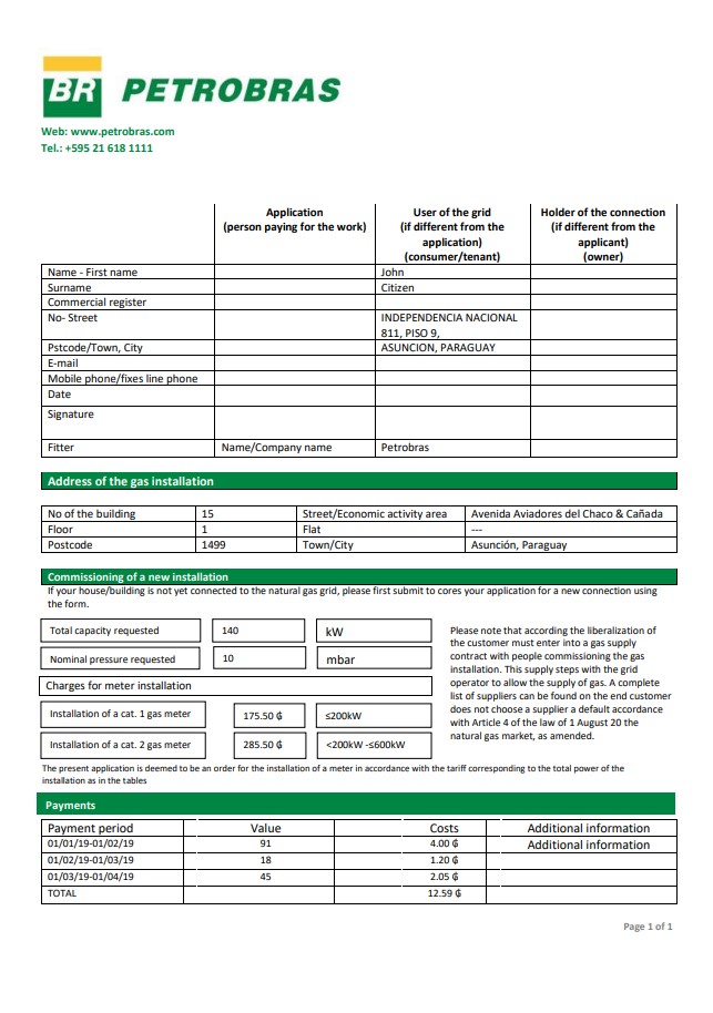 Paraguay Petrobras Paraguay Operations and Logistics gas company utility bill template in Word and PDF format
